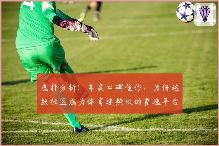 虎扑分析：年度口碑佳作，为何这款社区成为体育迷热议的首选平台