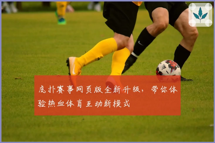 虎扑赛事网页版全新升级，带你体验热血体育互动新模式