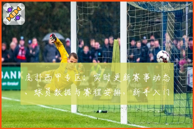 虎扑西甲专区：实时更新赛事动态、球员数据与赛程安排，新手入门指南抢先看